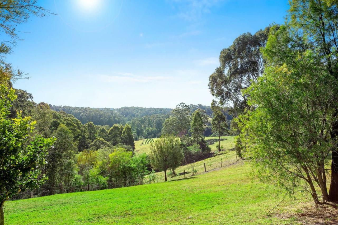 Braeside Cabin Two Alphitonia Central Tilba Exterior foto